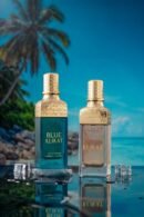 Klikat Times & Blue Bundle